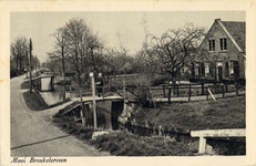 8981 Gezicht op de sloot met een aantal bruggetjes langs de Herenweg te Breukeleveen uit het zuiden.